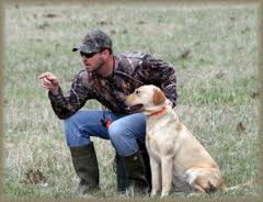 Trainen van een Labrador-retriever-pup