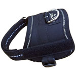 Halsband voor labrador pup Halsband voor labrador pup