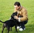 Training en opvoeding Van Een Labrador Retriever